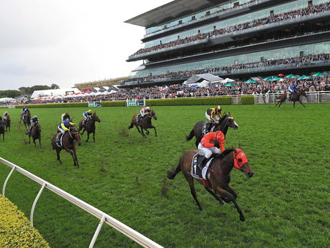 The TAB Everest: The World’s Richest Race On Turf - Tourism Cairns 0