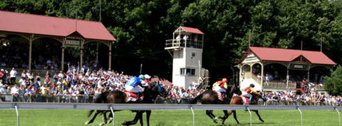 Tumut Derby Day - Tourism Cairns 1