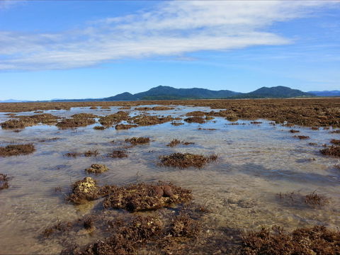 Walk To The Reef - Tourism Cairns 0