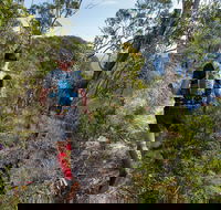 Wild Earth Coastal High 50 - Tourism Cairns