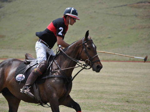 Wirragulla Annual Polo Tournament - Tourism Cairns 0