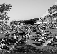 Yours and Owls Festival - Tourism Cairns