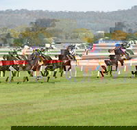Aggies Race Day - Tourism Cairns