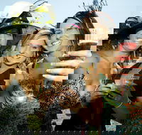 Albury Racing Club Boxing Day Races - Tourism Cairns