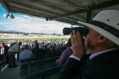 Albury Racing Club Boxing Day Races - Tourism Cairns 1