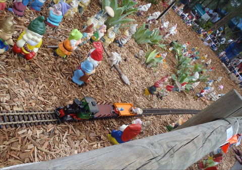 Australia Day With The Australian Gnome Convention Glenbrook - Tourism Cairns 2