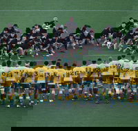 Bledisloe Cup Qantas Wallabies versus All Blacks - Tourism Cairns