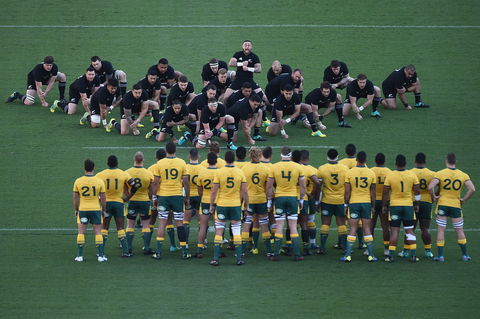 Bledisloe Cup: Qantas Wallabies Versus All Blacks - Tourism Cairns 0