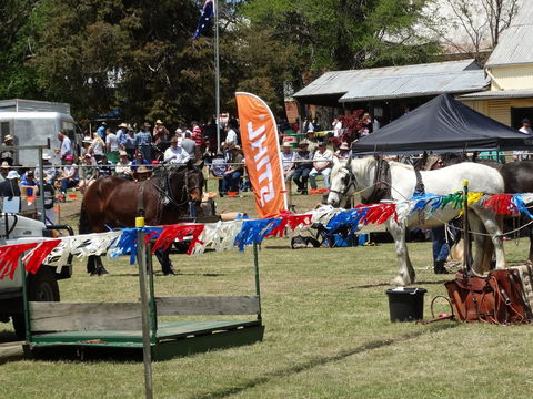 Carcoar Show - Tourism Cairns 0