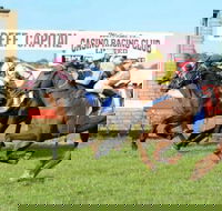 Casino Cup - Tourism Cairns