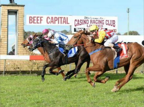Casino Cup - Tourism Cairns 0