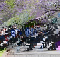 Celtic Festival of Queensland - Tourism Cairns