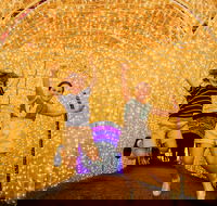 Christmas Lights Spectacular New Year's Eve at Hunter Valley Gardens - Tourism Cairns