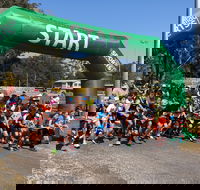 Coffs Harbour Running Festival - Tourism Cairns