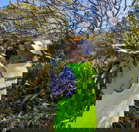 Conservation Volunteers Australia Townsville - Beach Scrub Conservation - Tourism Cairns