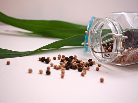 Cooking With Australian Indigenous Spices Cooking Class - Tourism Cairns 0