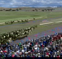 Cooma Sundowners Cup - Tourism Cairns