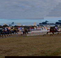 Corowa Horseraces - Tourism Cairns