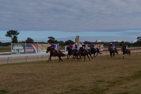 Corowa Horseraces - Tourism Cairns 0
