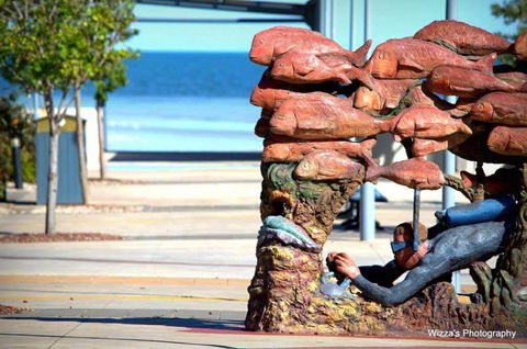 Cuttlefish Art Trail - Cuttlefest 2020 - Tourism Cairns 0