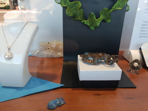 Cuttlefish Art Trail - Cuttlefest 2020 - Tourism Cairns 1