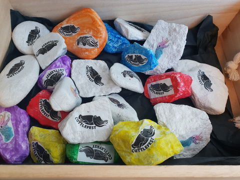 Cuttle-Rock Challenge - CUTTLEFEST 2020 - Whyalla - Tourism Cairns 0