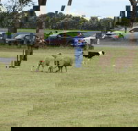 Dean Sheepdog Trials - Old Sniff Classic - Tourism Cairns