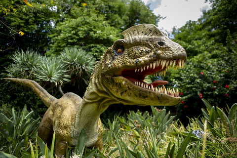 Dino Lab At Melbourne Zoo - Tourism Cairns 0