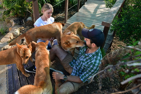 Dingo Den Discovery Experience - Tourism Cairns 1