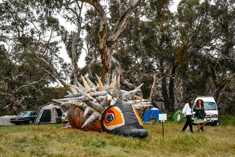 Field Good Festival - Tourism Cairns 2