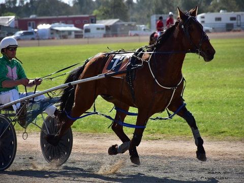 Forbes Show - Tourism Cairns 0