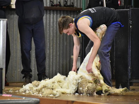 Forbes Show - Tourism Cairns 1