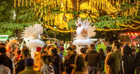 Fusion Wagga Wagga - Tourism Cairns 1