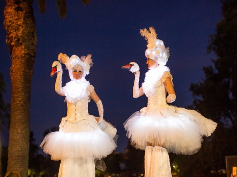 Fusion Wagga Wagga - Tourism Cairns 2