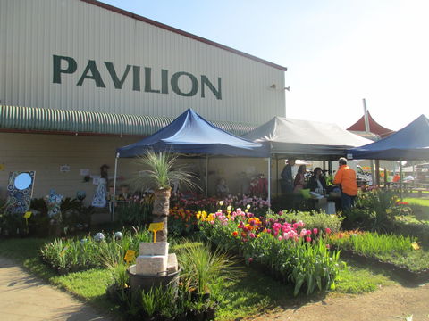 Gippsland Garden And Home Expo-Drouin Lions Club - Tourism Cairns 0