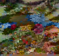 Glenrock Gardens Open Garden - Tourism Cairns