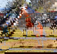 Glen Innes Pastoral and Agricultural Show