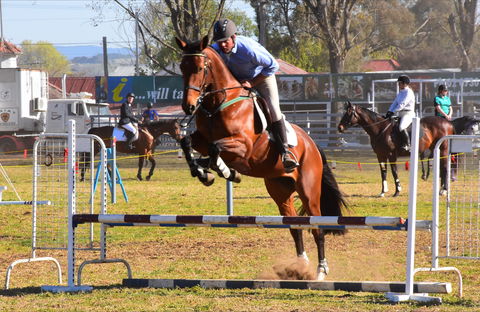 Glen Innes Pastoral And Agricultural Show - Tourism Cairns 0
