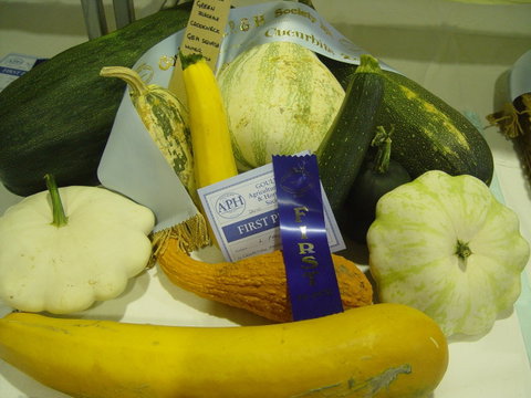 Goulburn Show - Tourism Cairns 0