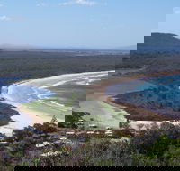 Head to Head Walk Run - Tourism Cairns
