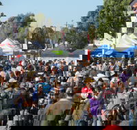 Hunter Valley Caravan Camping 4WD Fish and Boat Show - Tourism Cairns
