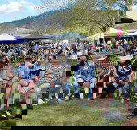 Jamming at Jingellic - Tourism Cairns