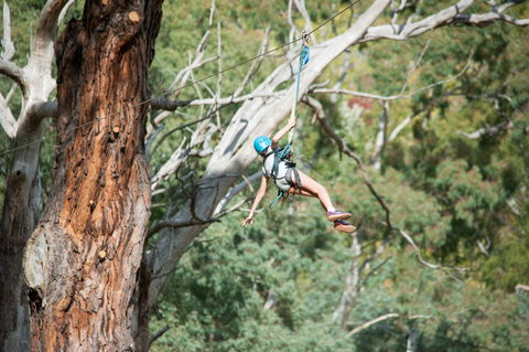 July 2020 Holidays- Go Wild At The Mt Lofty Adventure Hub - Tourism Cairns 1