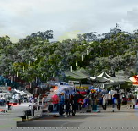 Lardner Park Market - Tourism Cairns