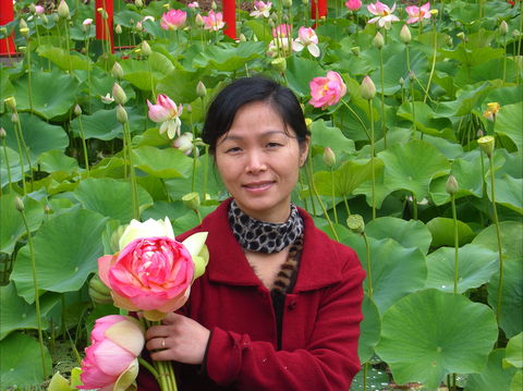 Lotus Flower Season - Tourism Cairns 1