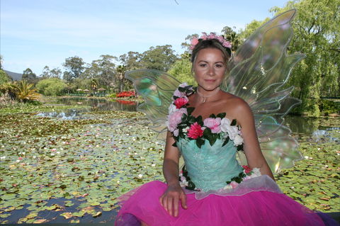 Lotus Flower Season - Tourism Cairns 2