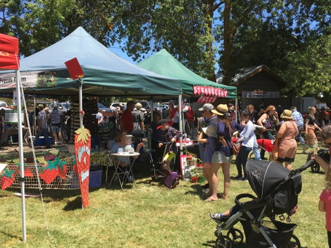 Macclesfield Strawberry Fete - Tourism Cairns 1
