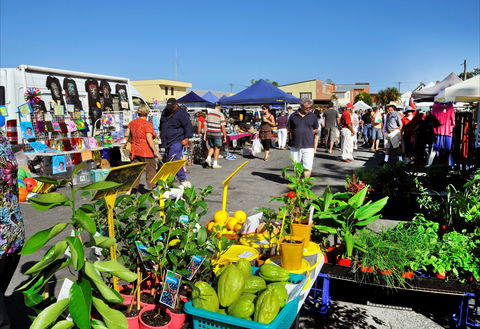 Maclean Macmarket Day - Tourism Cairns 0