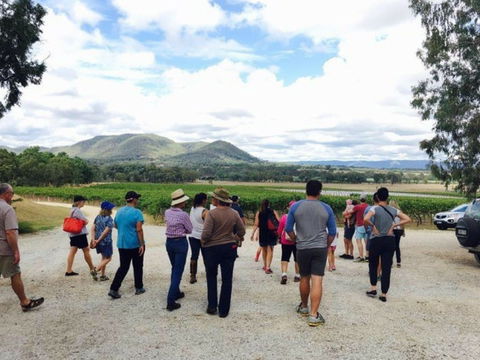 Mudgee Farm Walks - Tourism Cairns 1