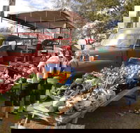 Murphys Creek Markets - Tourism Cairns
